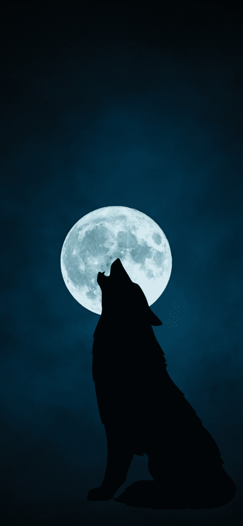 wolf 4k wallpaper for iphone