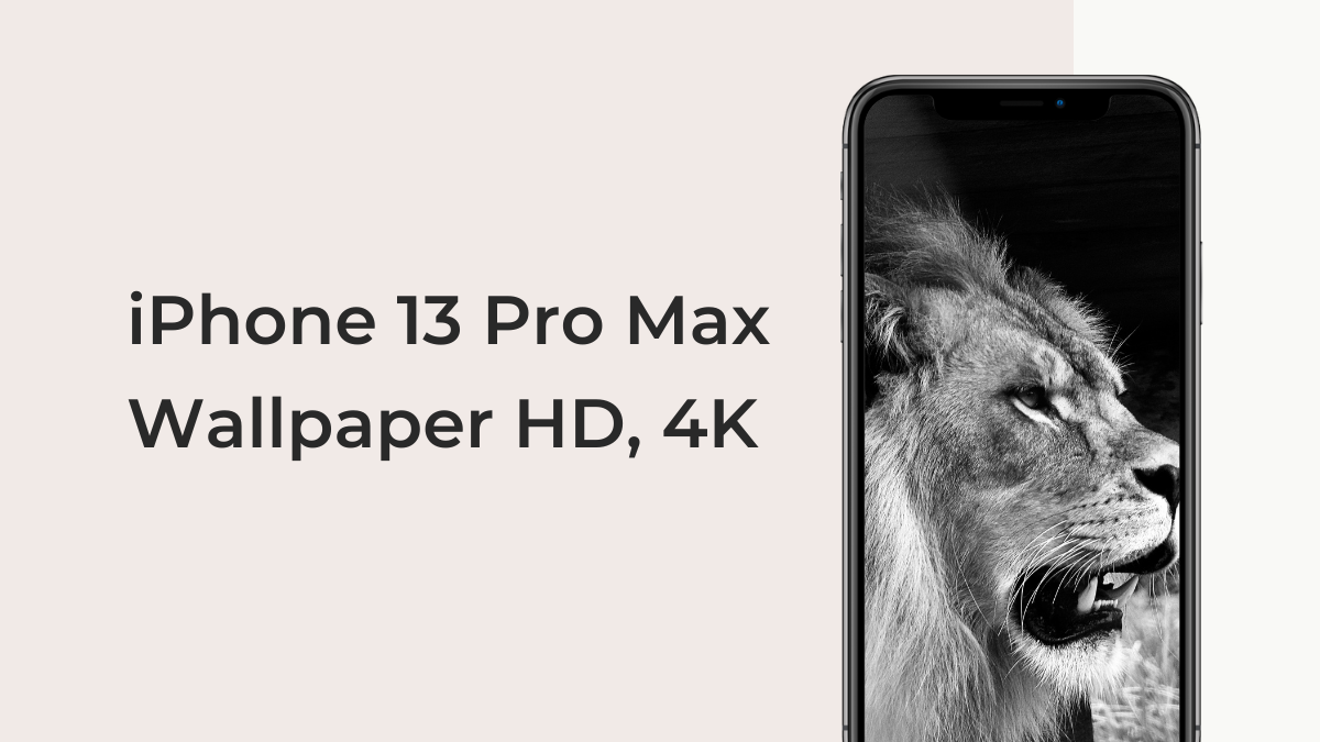 iphone 13 pro max wallpaper